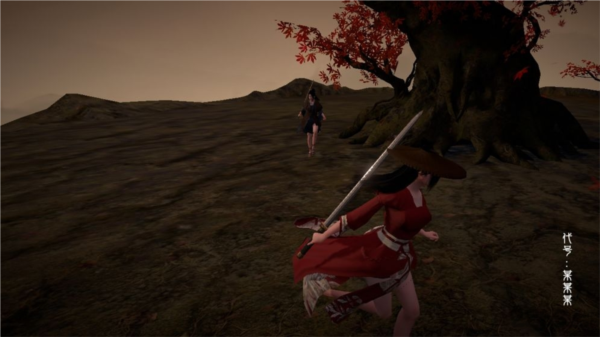 代号某某某无敌版